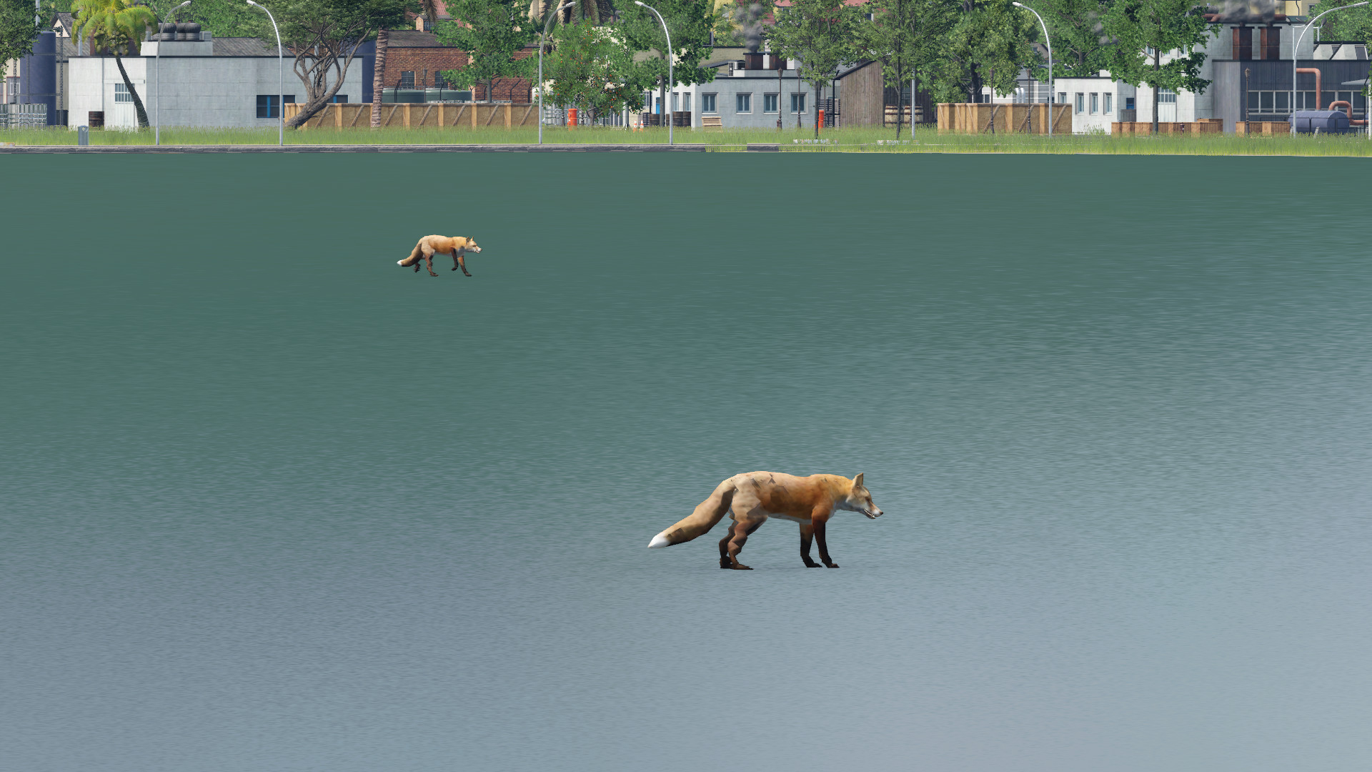Tiere auf hoher See