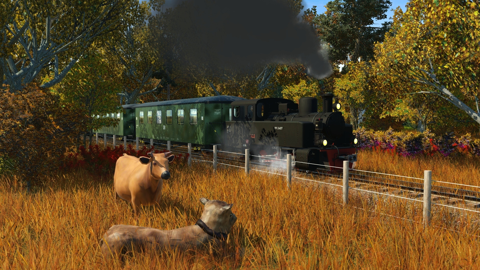 [TpF1] In the forest
