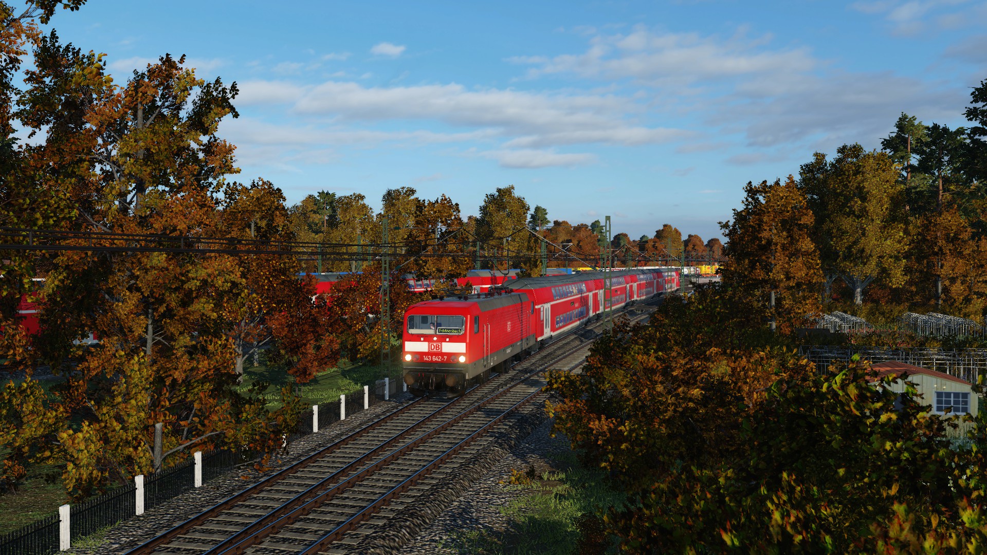 Ostlok im Herbstlaub...
