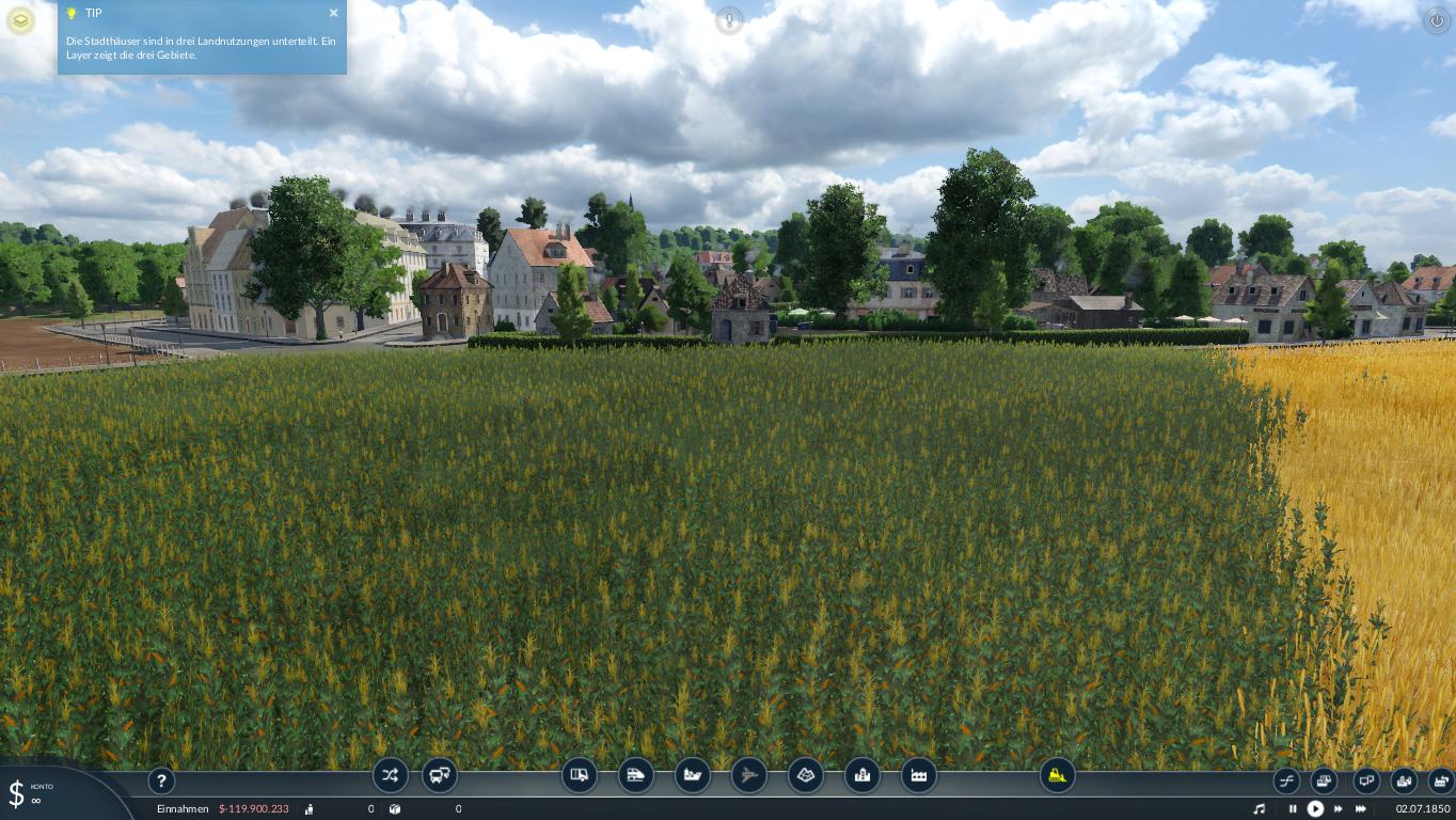 WIP Schönbau 1850