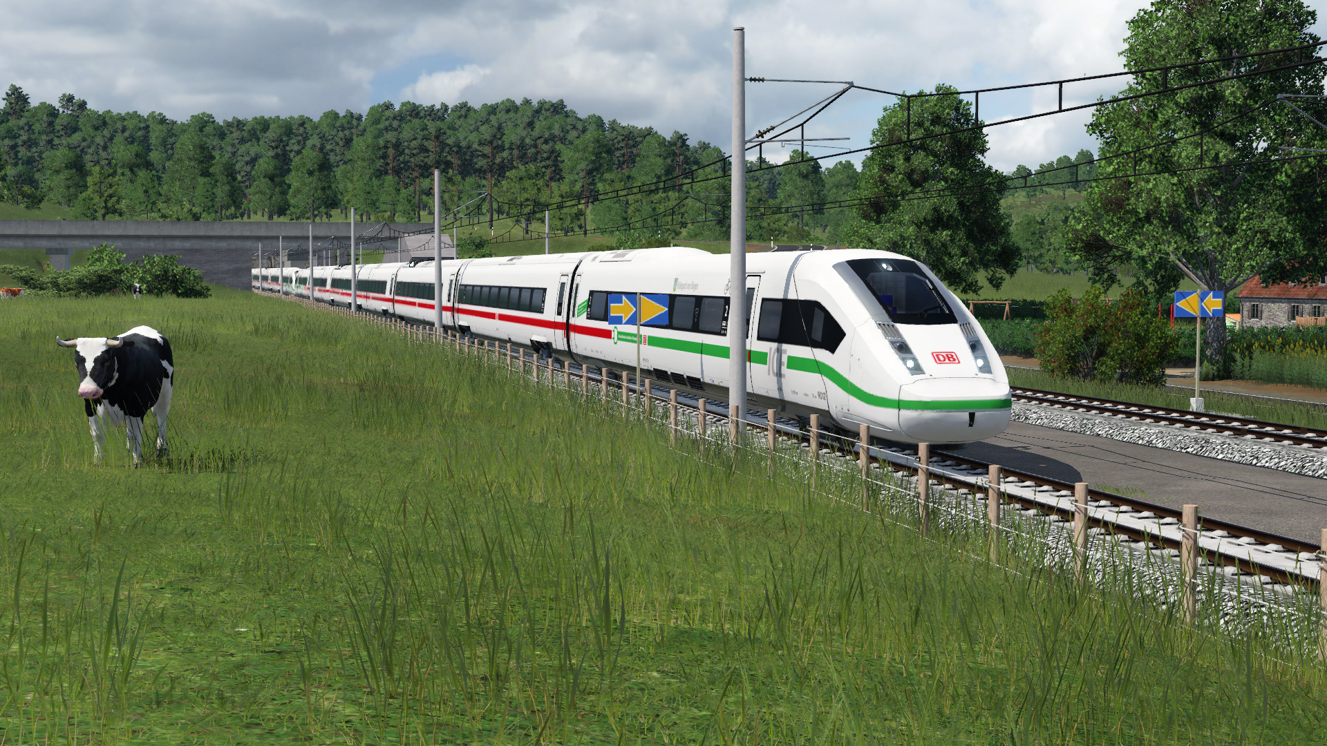 ICE4 braust mit 250km/h an der Kuhweide vorbei.