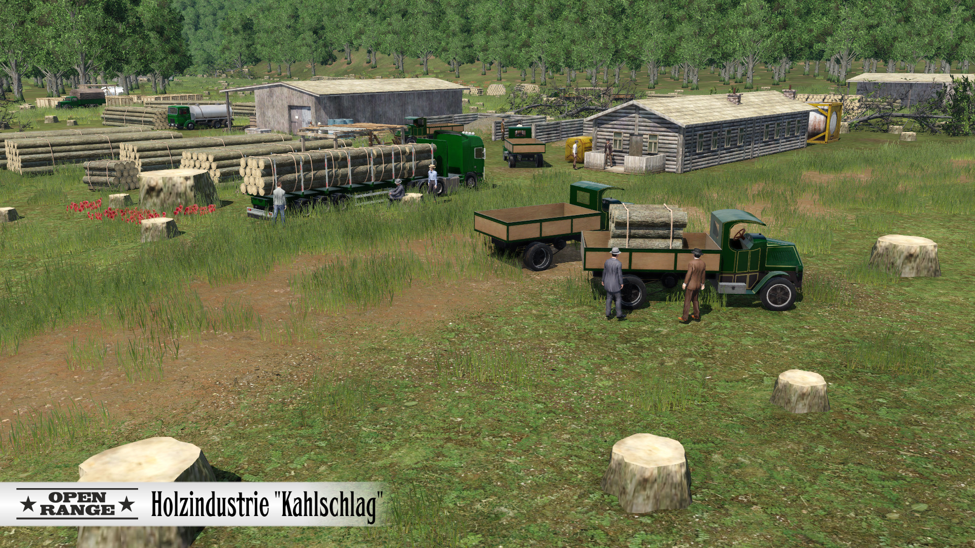 Holzindustrie Kahlschlag
