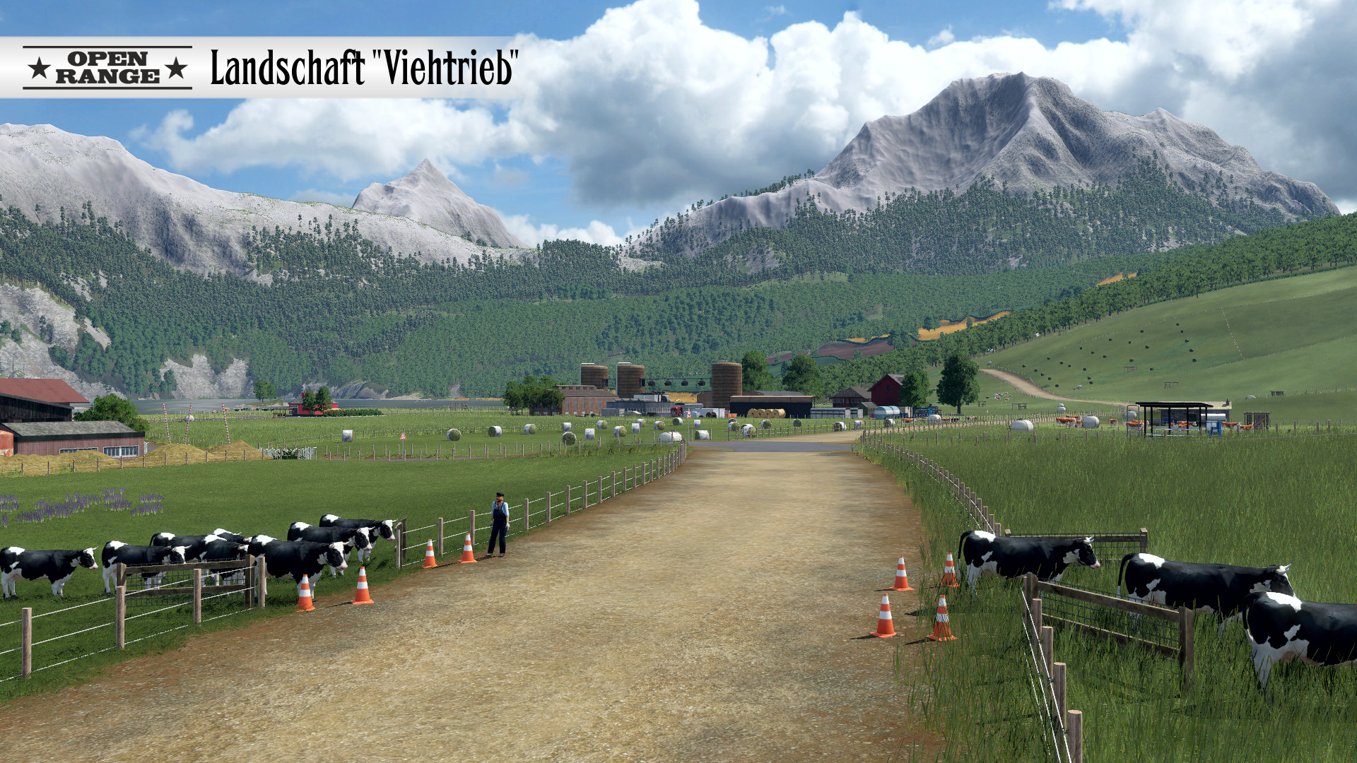 Landschaft Viehtrieb