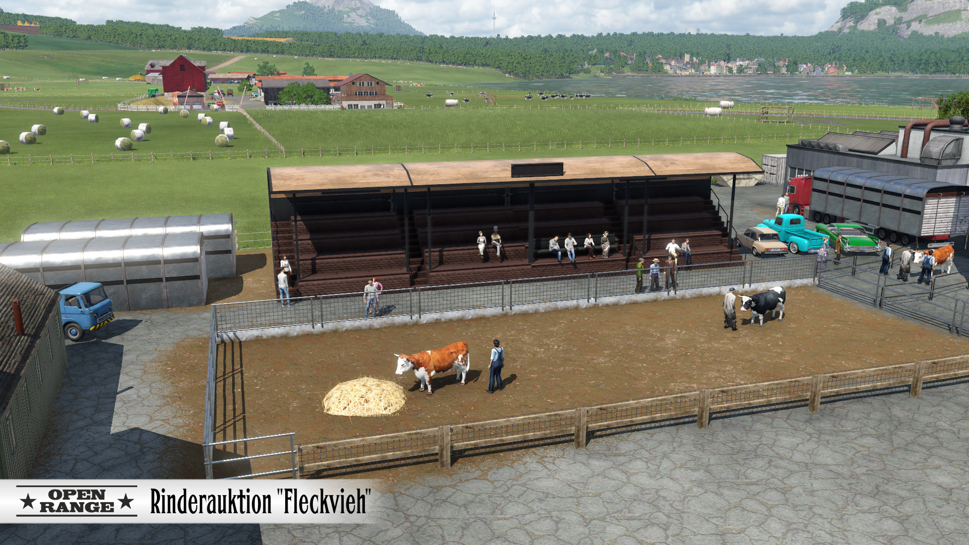 Rinderauktion Fleckvieh
