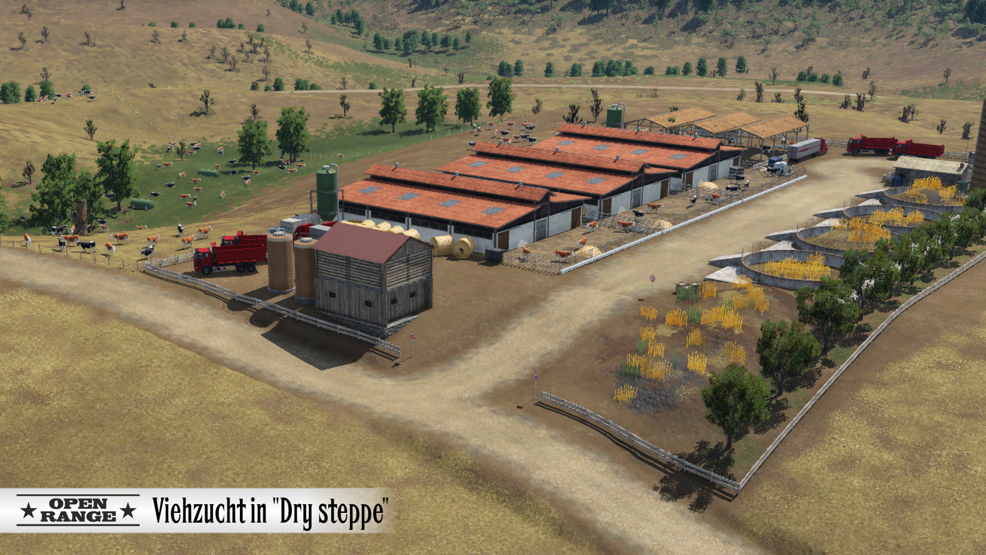 Viehzucht Dry steppe