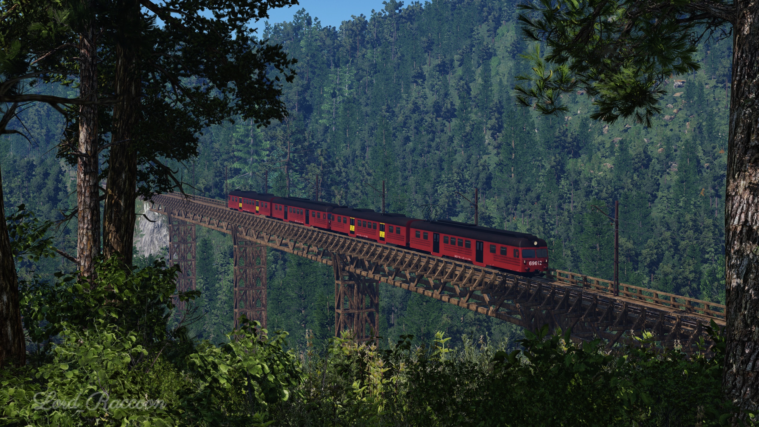 [TpF1] A fairytale forest ride