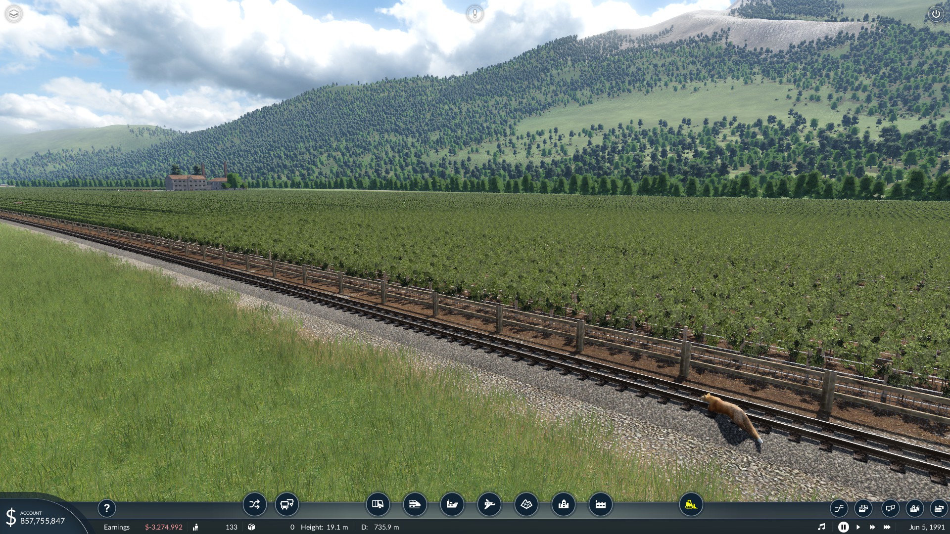 A sly fox debating on jumping the fence to eat some plump grapes.