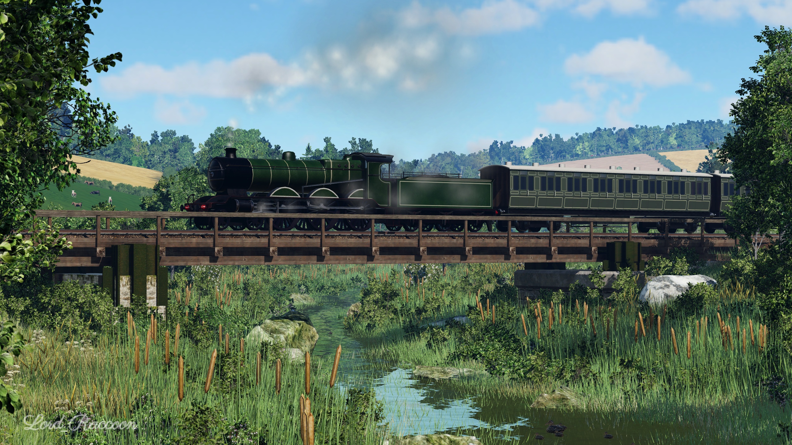 [TpF1] LB loco crossing the small stream