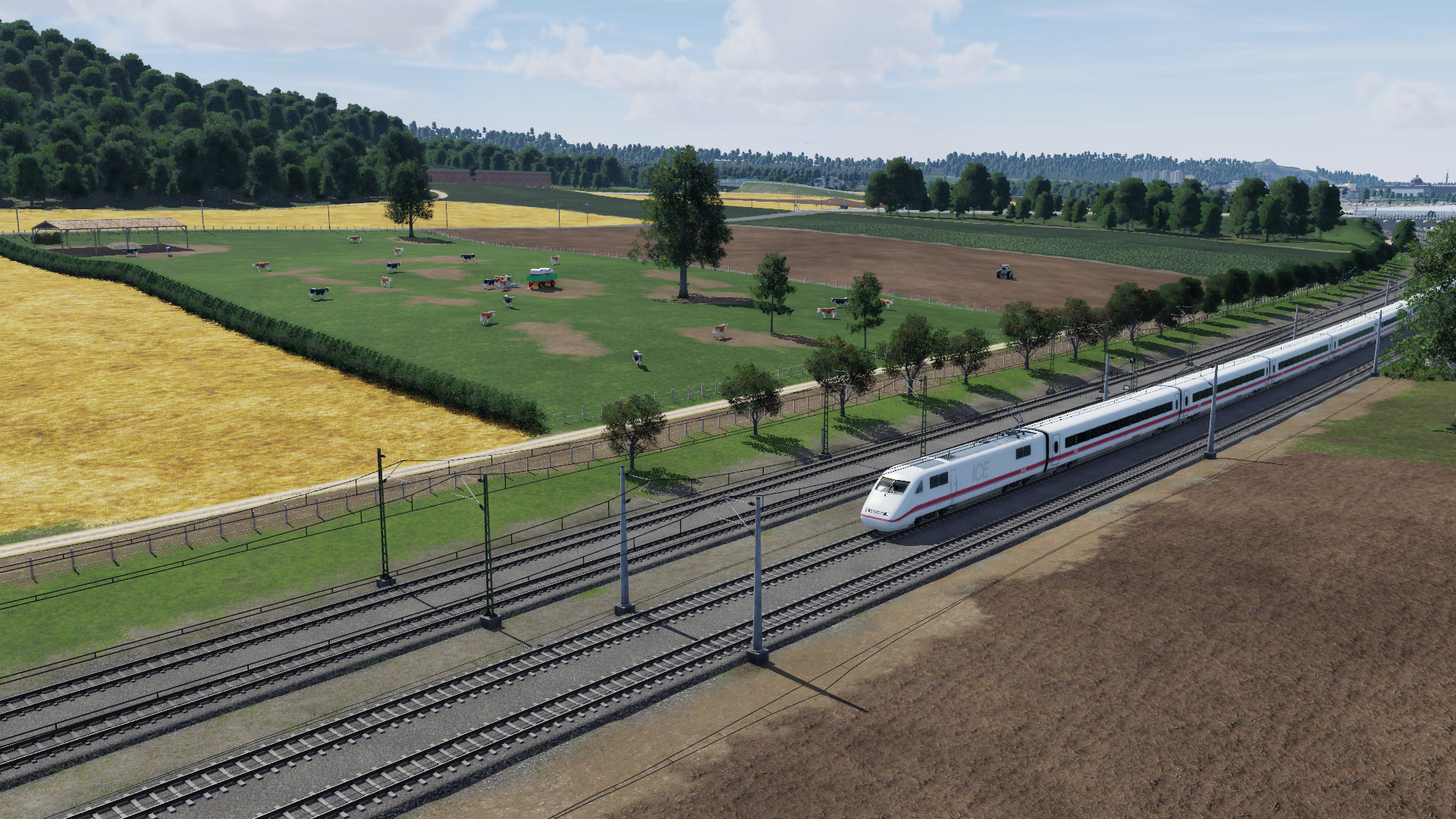 Neues vom NEP