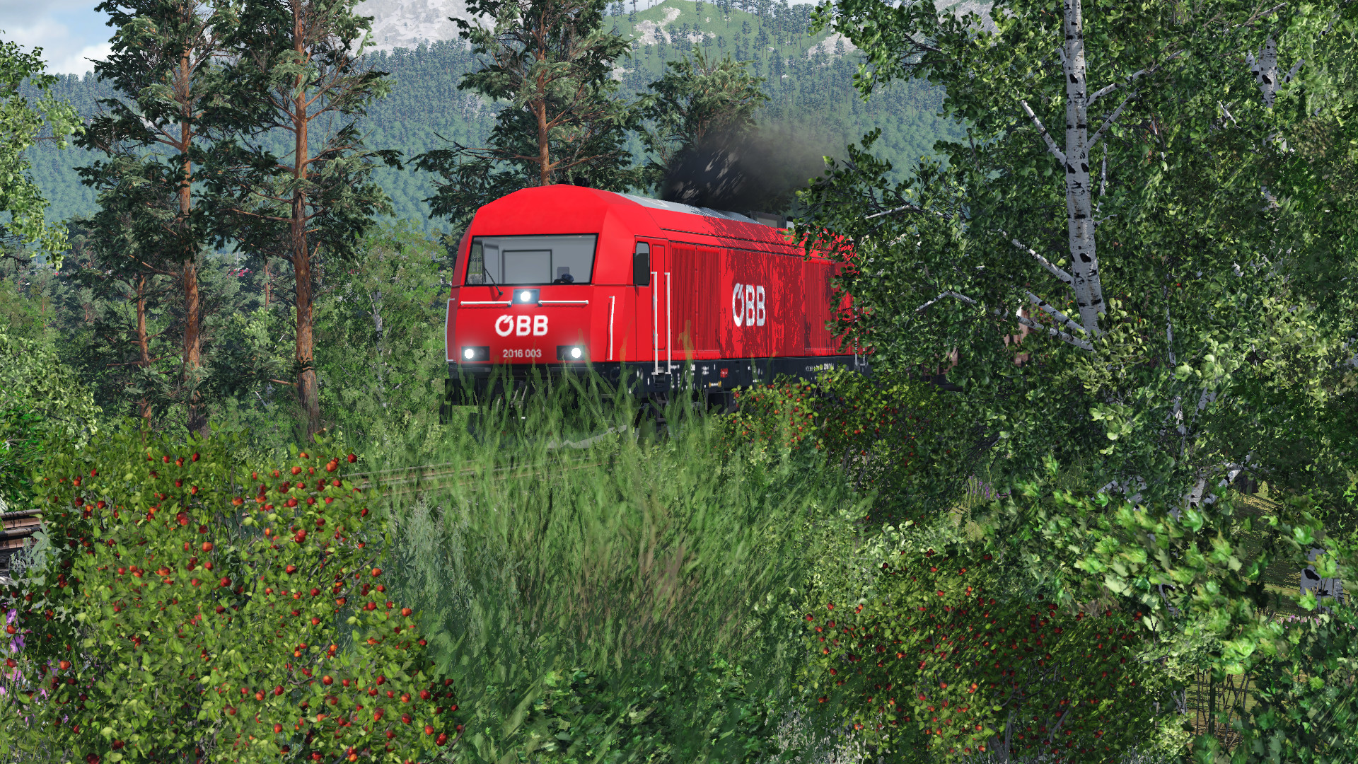 2016 mit Nahverkehrsgüterzug