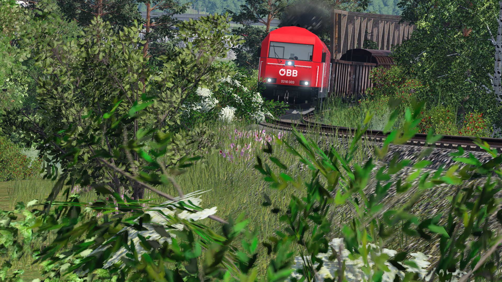 2016 mit Nahverkehrsgüterzug