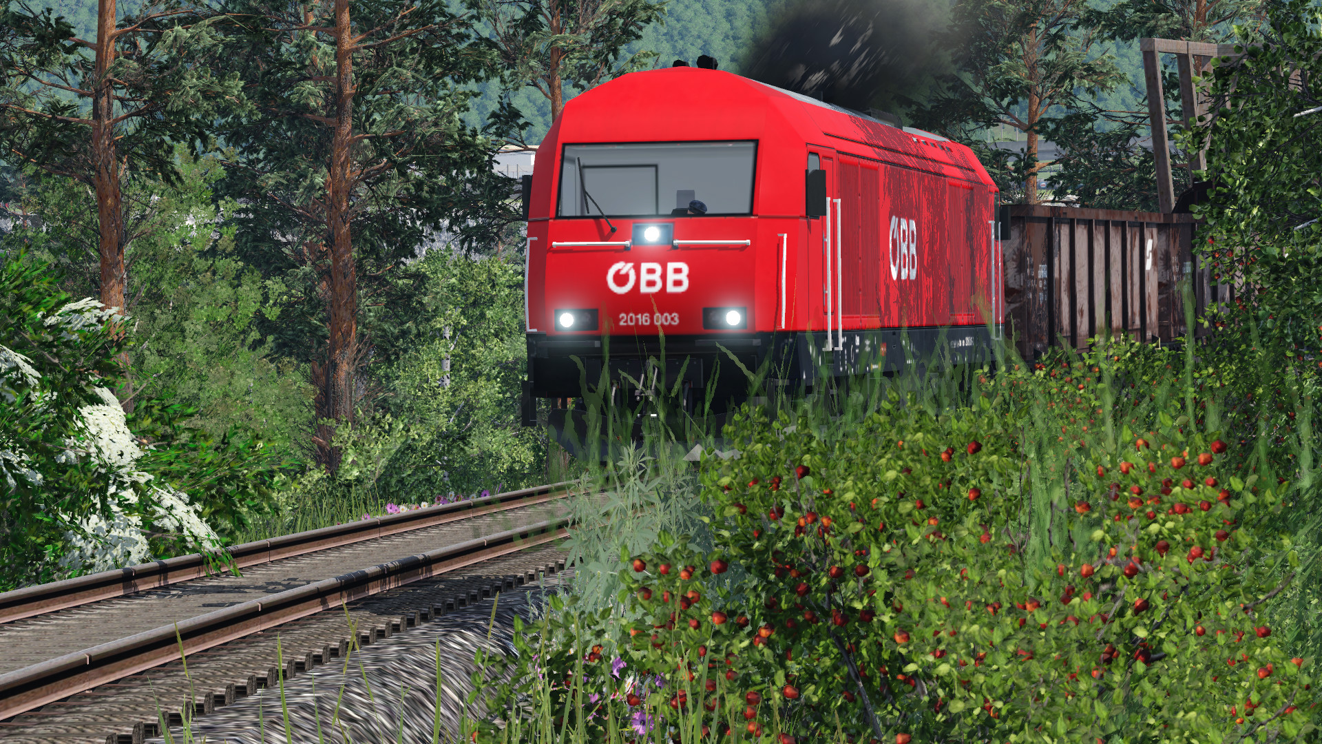 2016 mit Nahverkehrsgüterzug