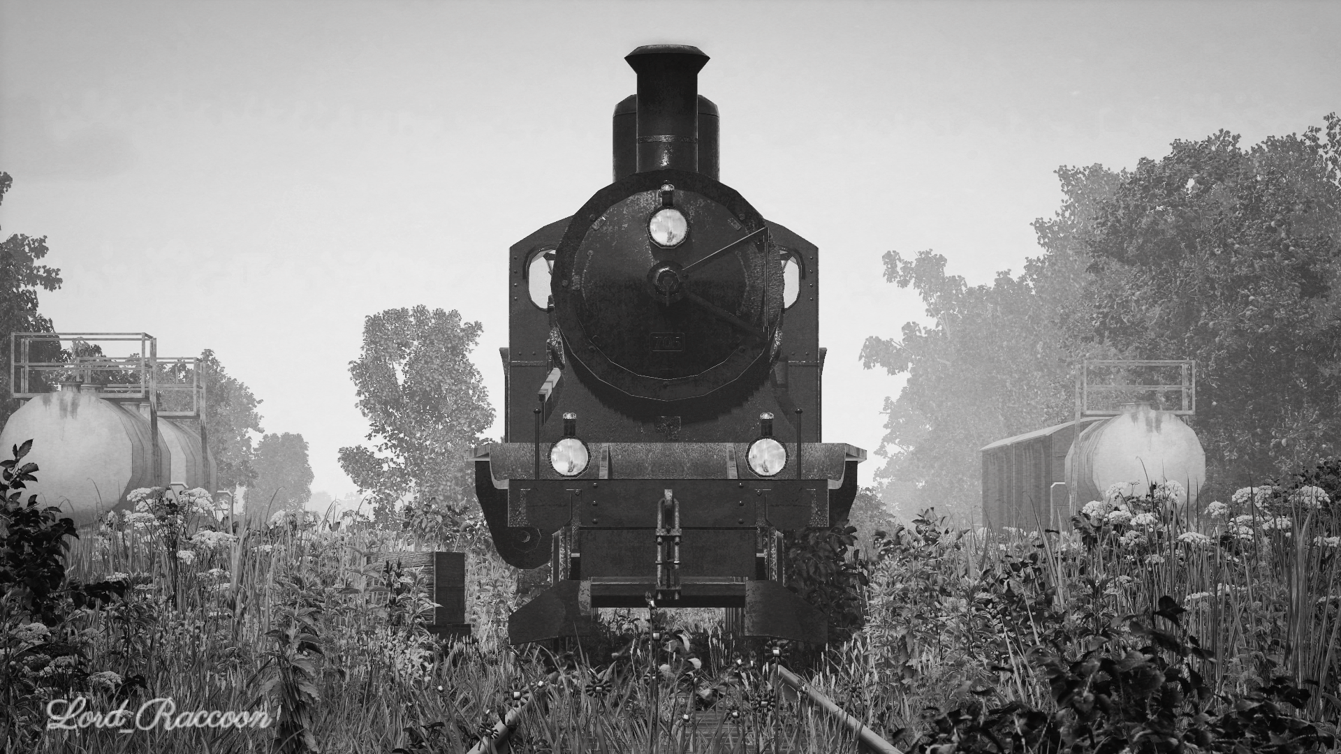 [TpF1] Black&White version of the previous picture