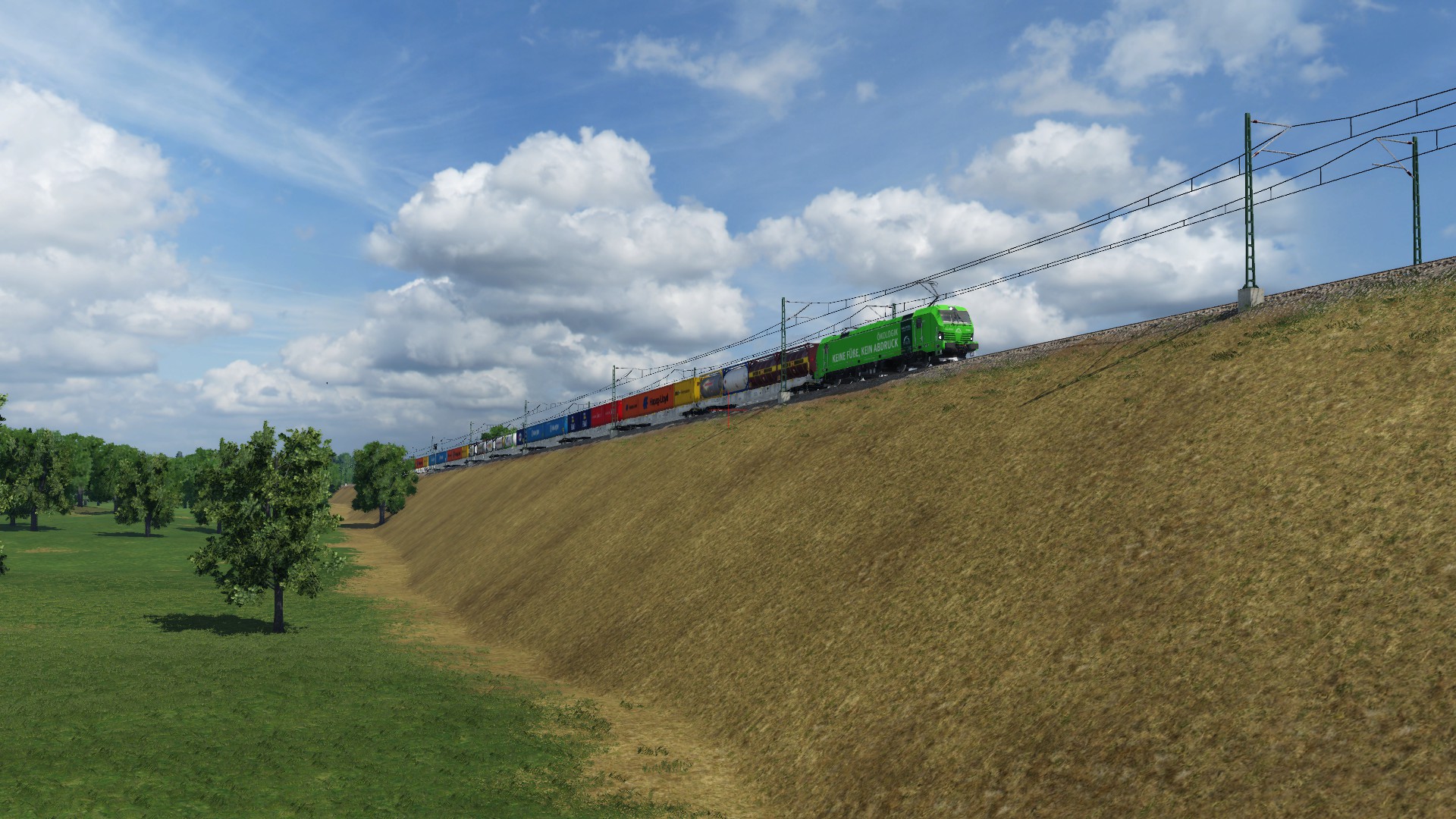 TXL 193 996 mit einem Containerzug in Schönwalde.
