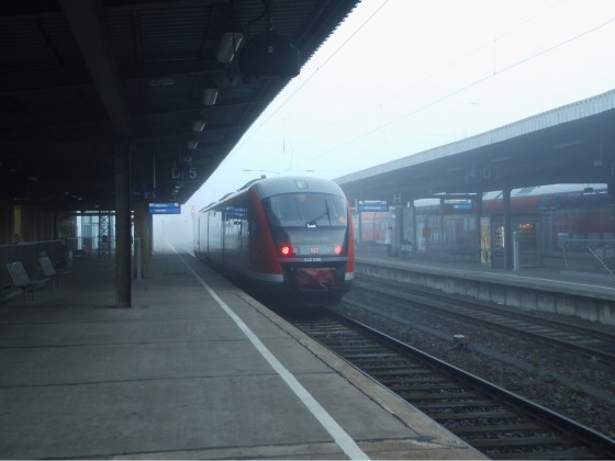 BR 642 im Magdeburger Hauptbahnhof