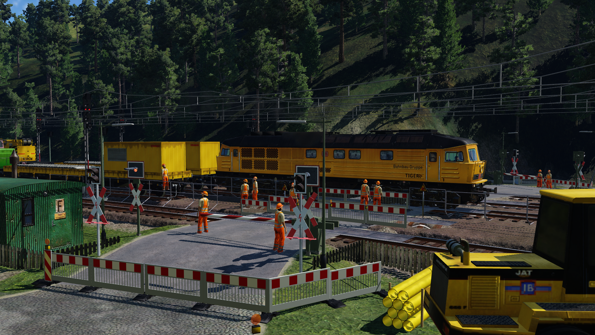 Tiger in der Baustelle gesichtet