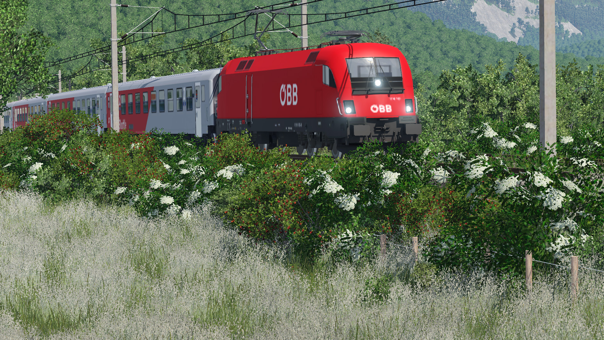 CS-Garnitur mit 1116 vorgespannt