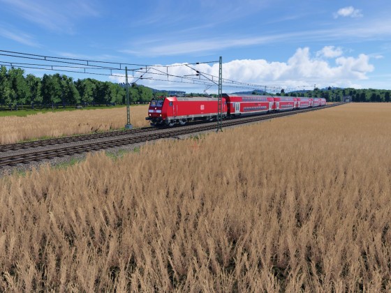 Regio Express im Kornfeld