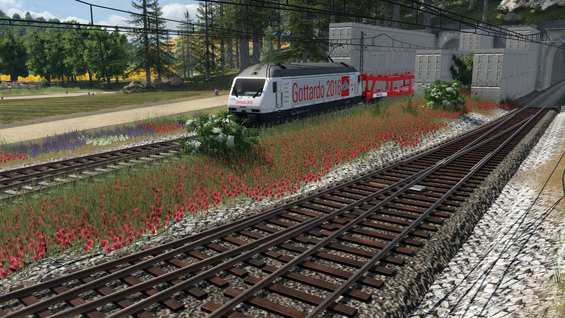 Trainspotting Klosterberg Tunnel