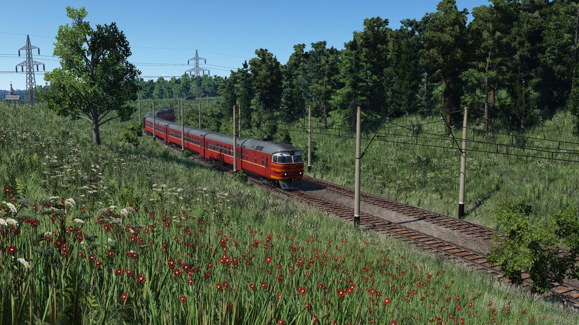 [TpF1] DR1A near the forest