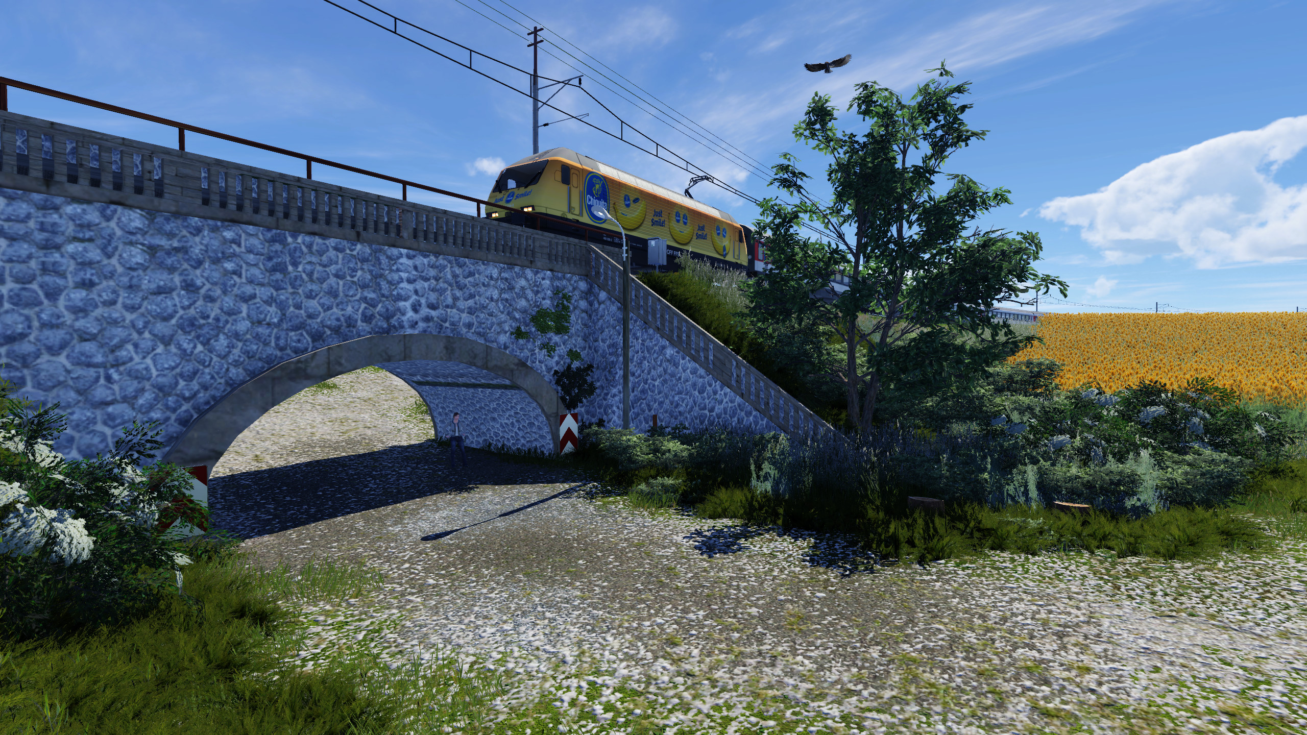 Re 460 ganz in gelb