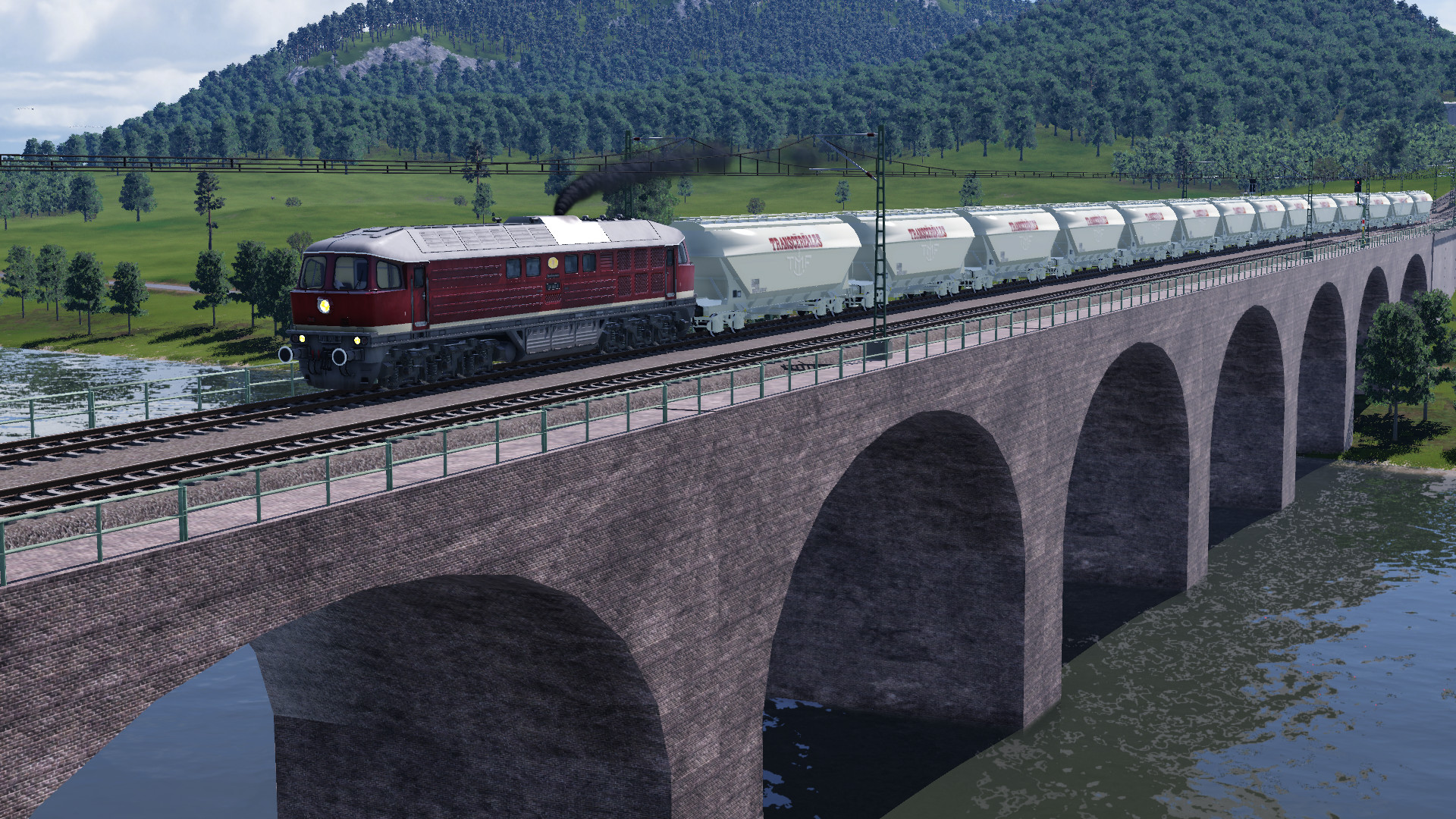 Eine Ludmilla mit Körnern auf dem Fluss