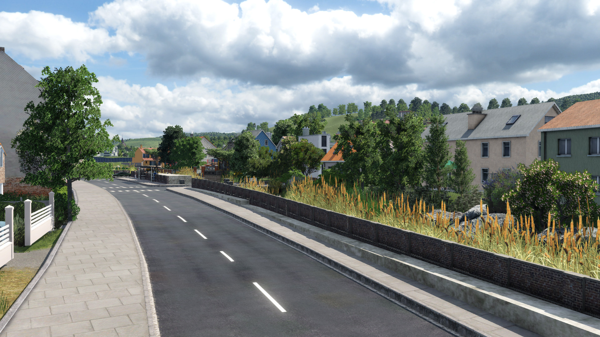 Brittnauerstrasse von Süden her... Entlang des Altachen Baches
