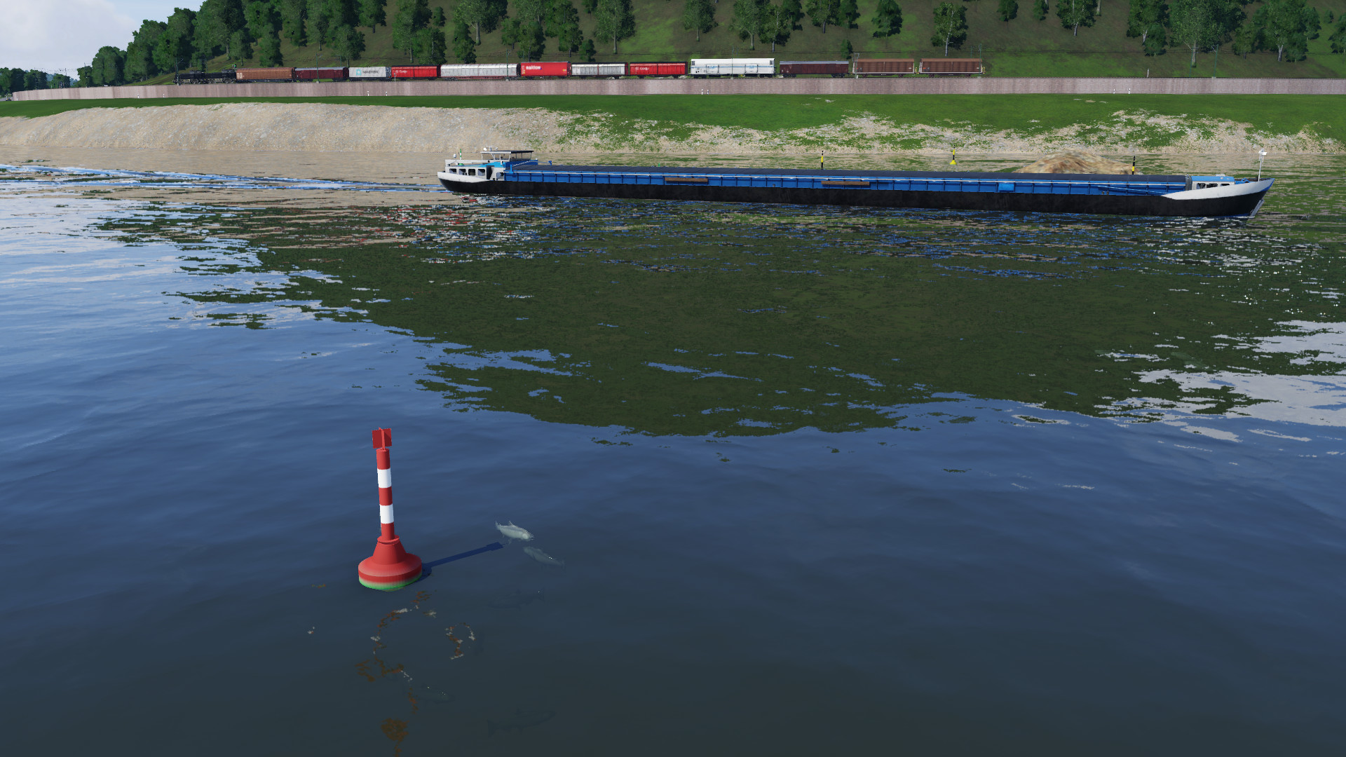 Die Fische schauen schon neugierig...