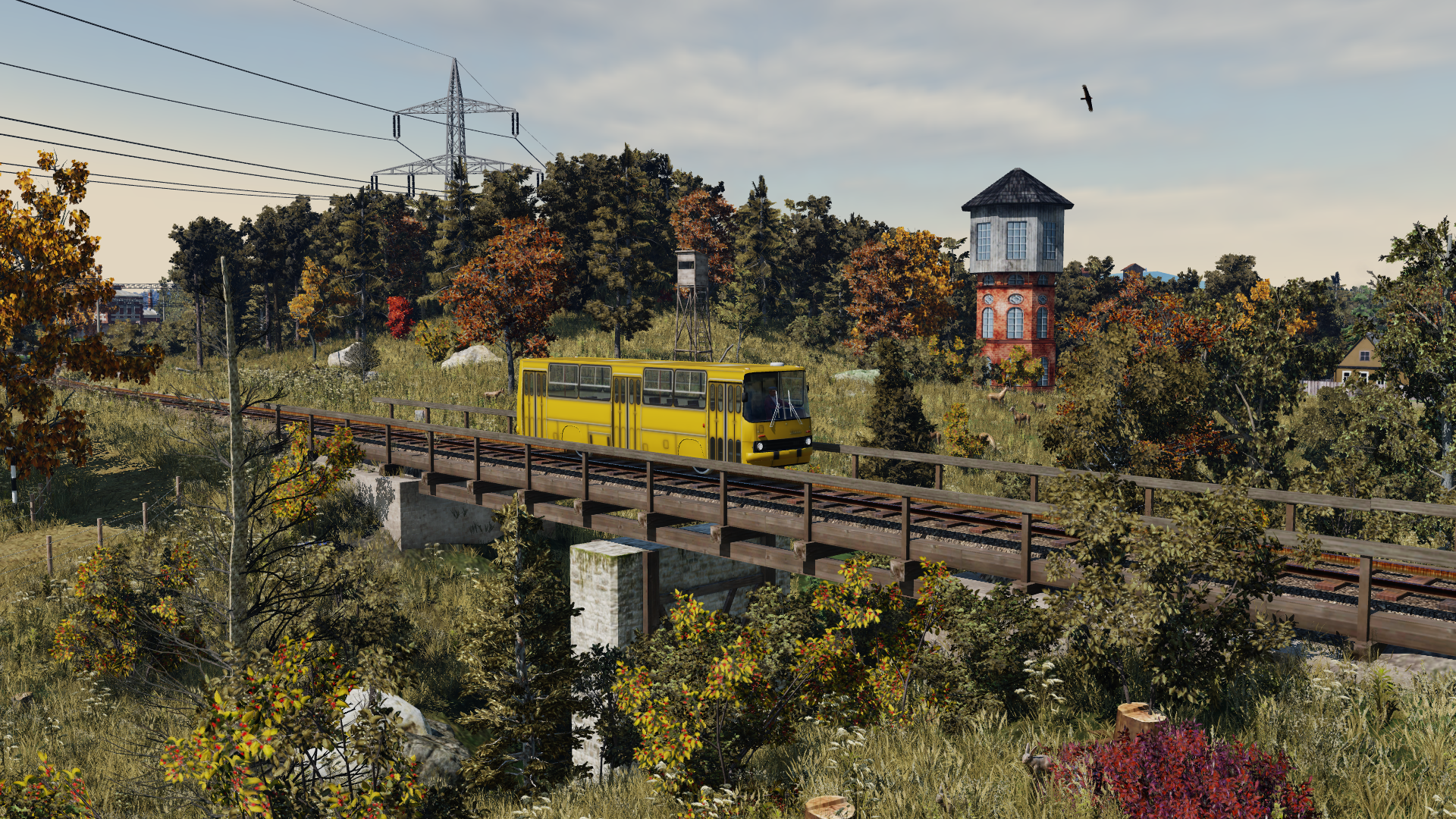[TpF1] In the autumn forest