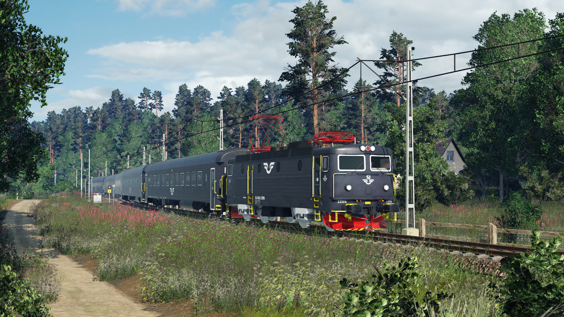 A regional train through the woods