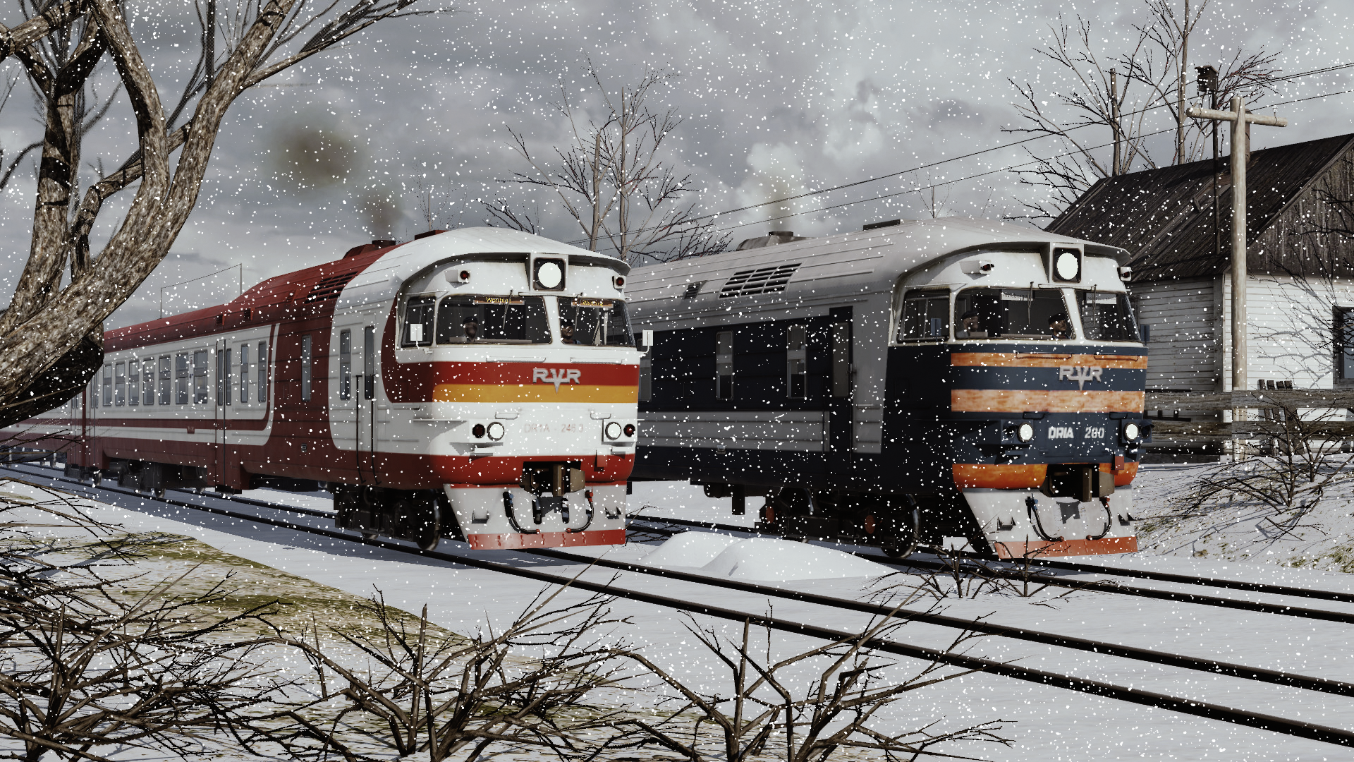Dr1 in the snow