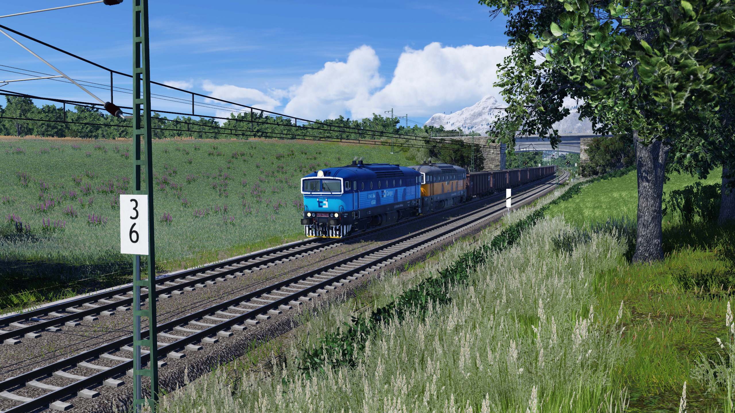 ​Taucherbrillen unterwegs