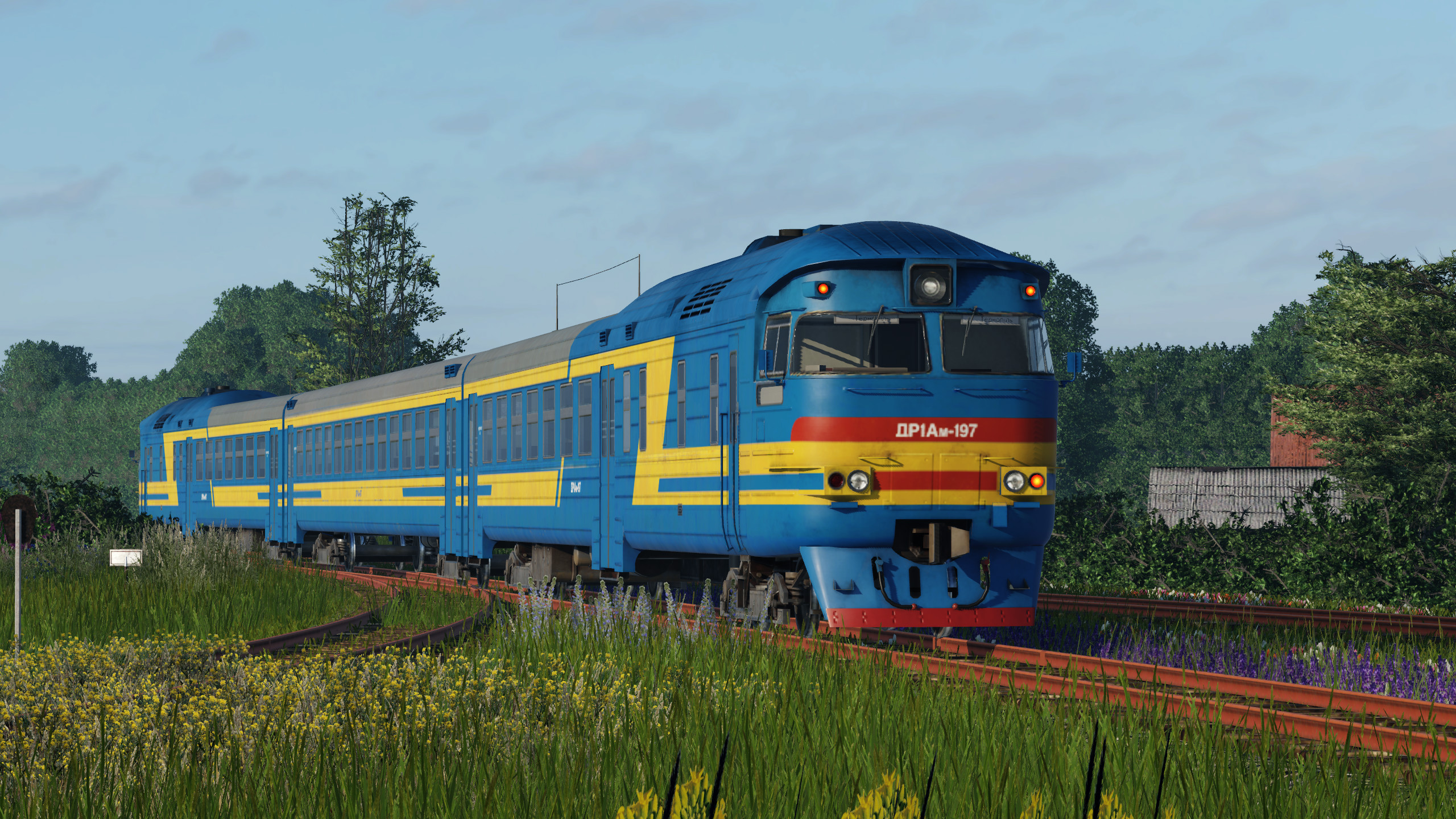 DR1Am-197 and overgrown tracks.