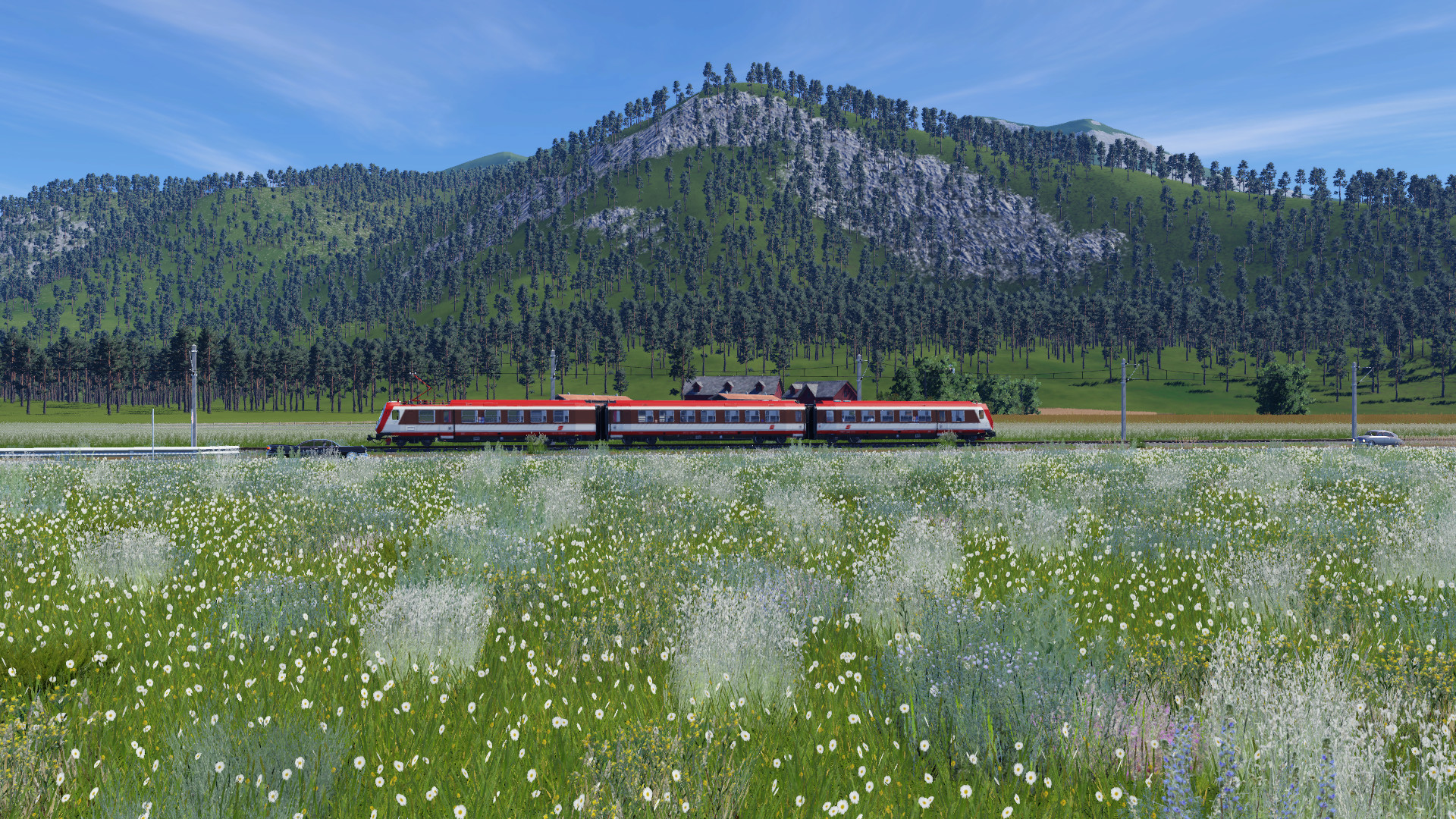Schmalspur irgendwo in Österreich