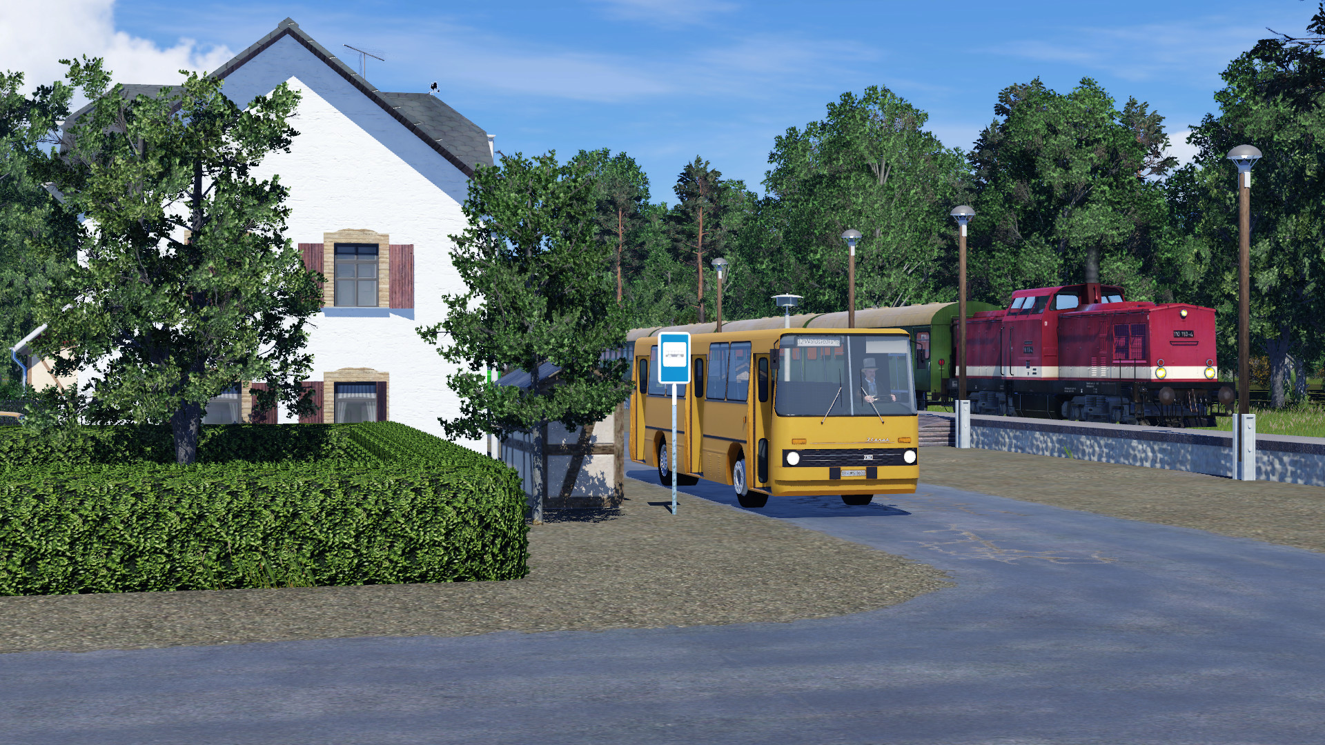 Waldsiedlung