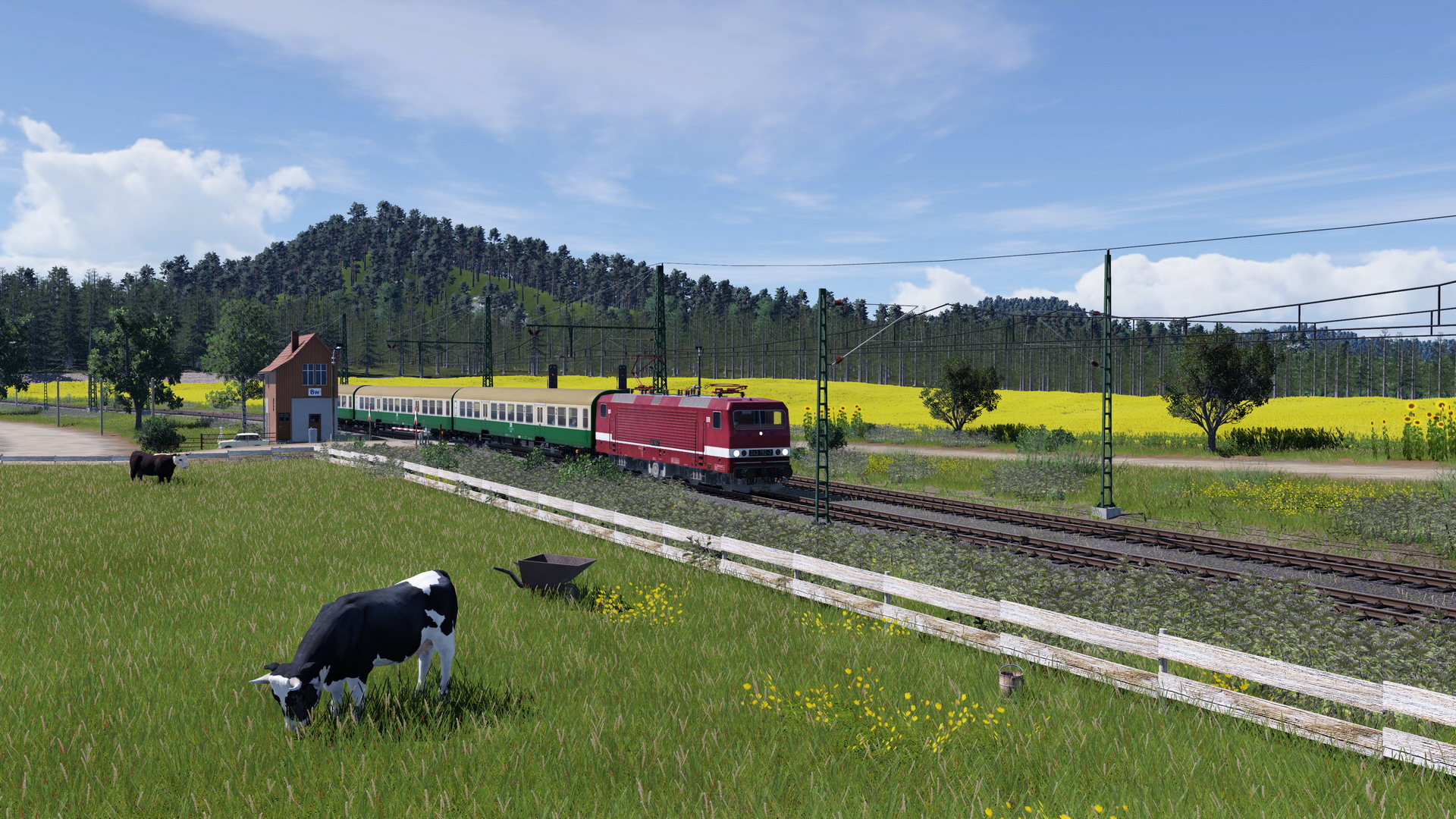 Eine unbekannte 243 fährt an der Kuhweide vorbei