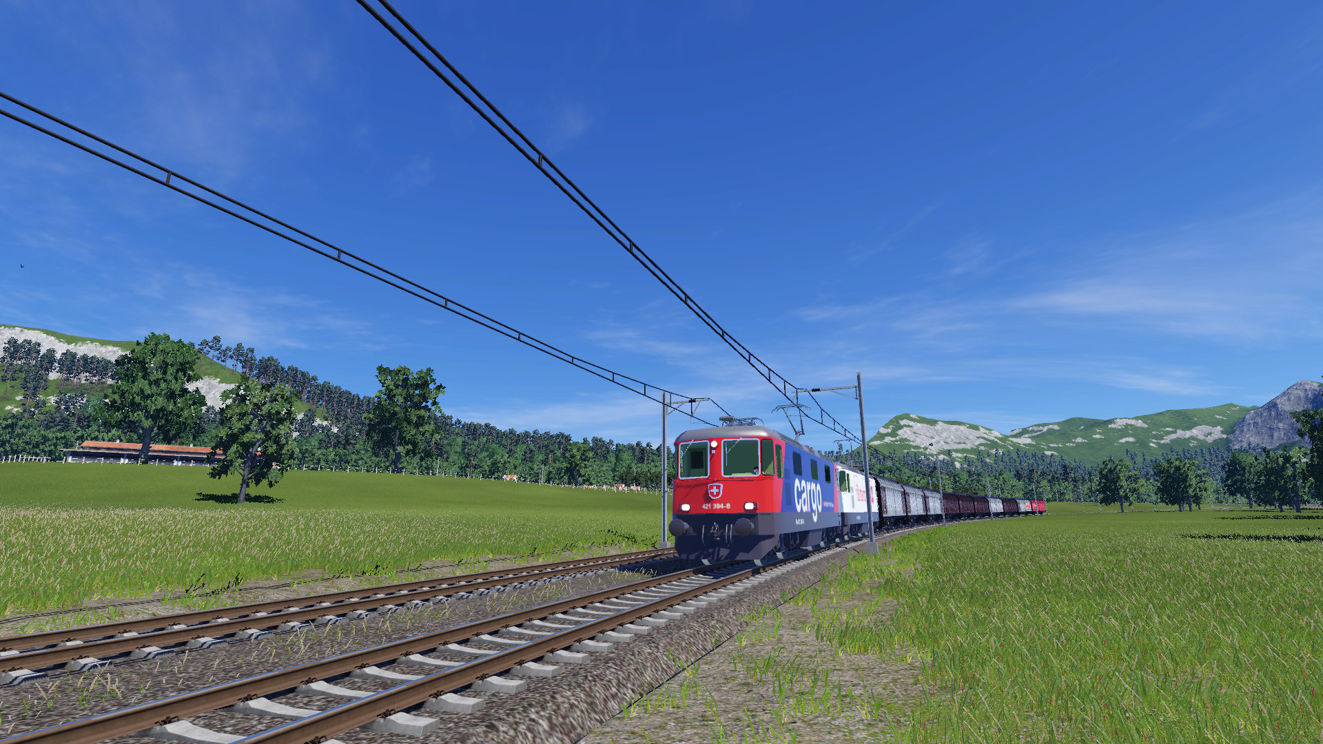 Re 421 + Güterzug