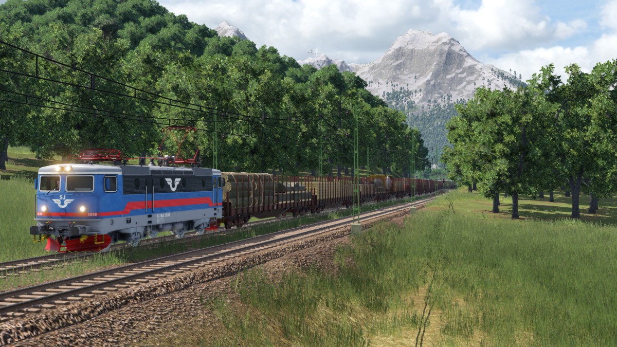 Cargo train clearing the woods