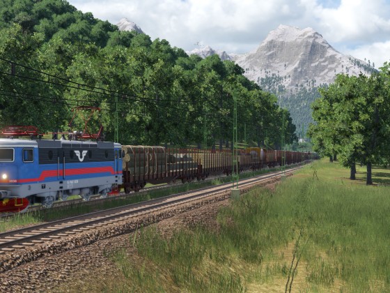 Cargo train clearing the woods