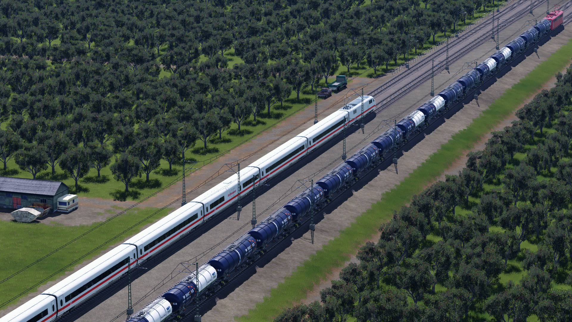 durch die Apfelbaumplantagen