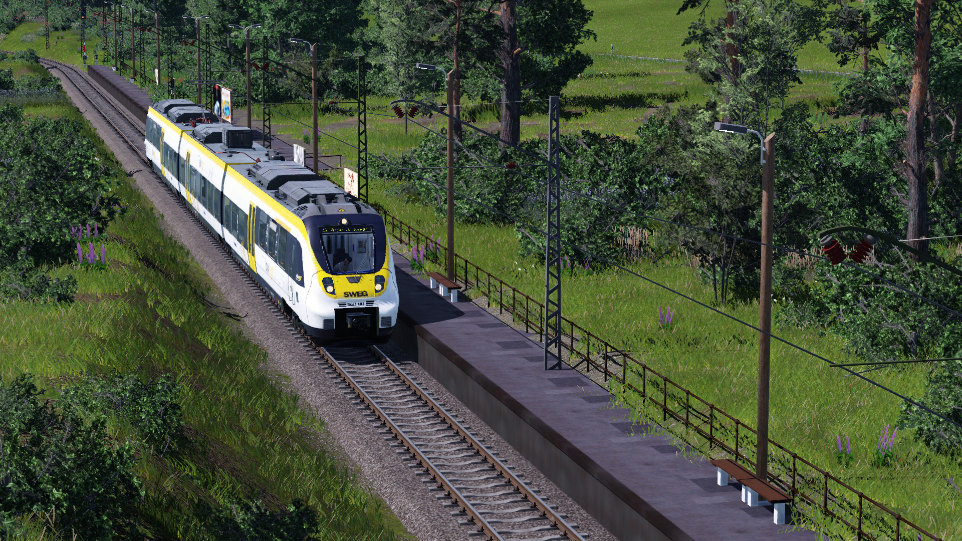 Der frühe Vogel fängt die Bahn...