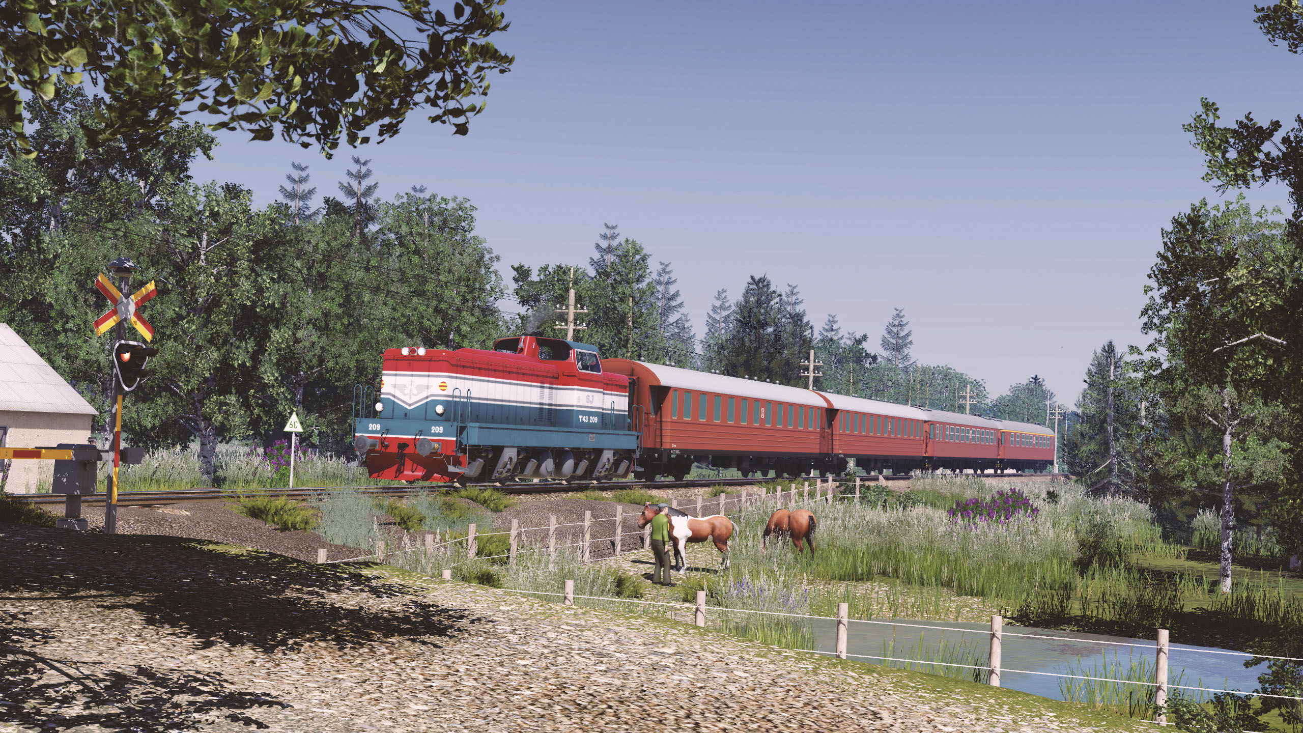 T43