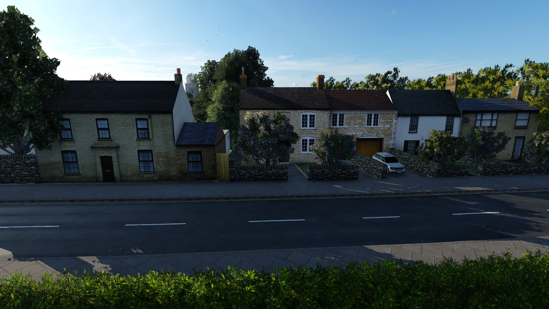 A bit more Evening Detailing