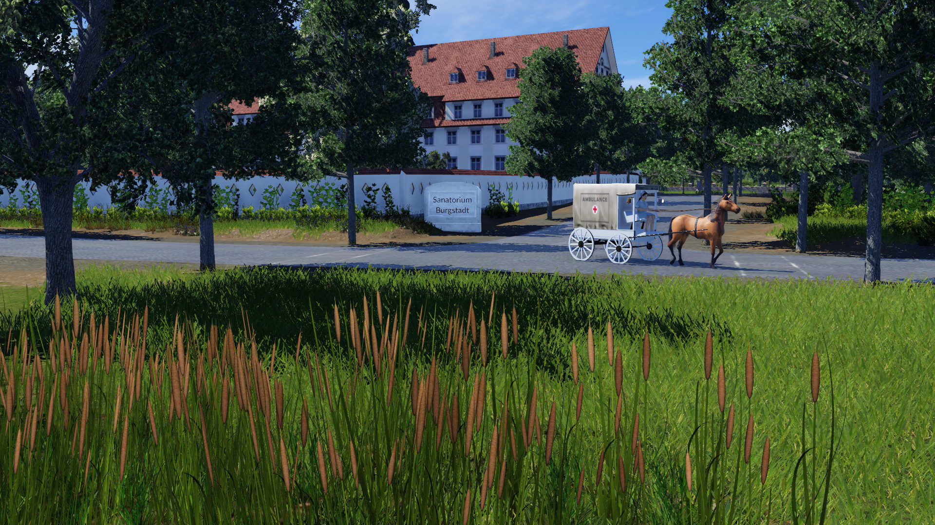 1910 sanatorium