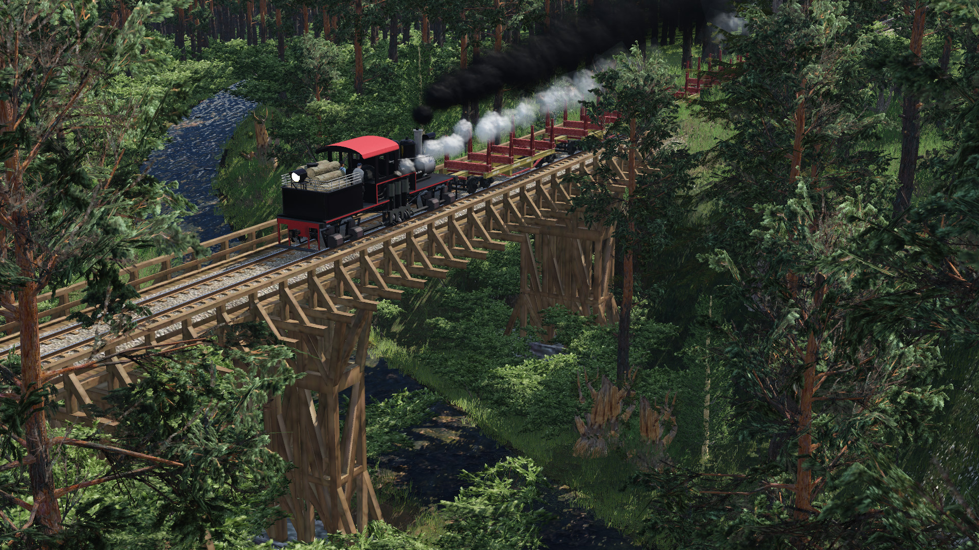 Steam of American Woods
