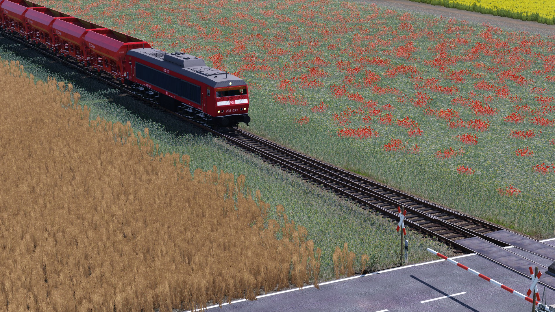 Joa