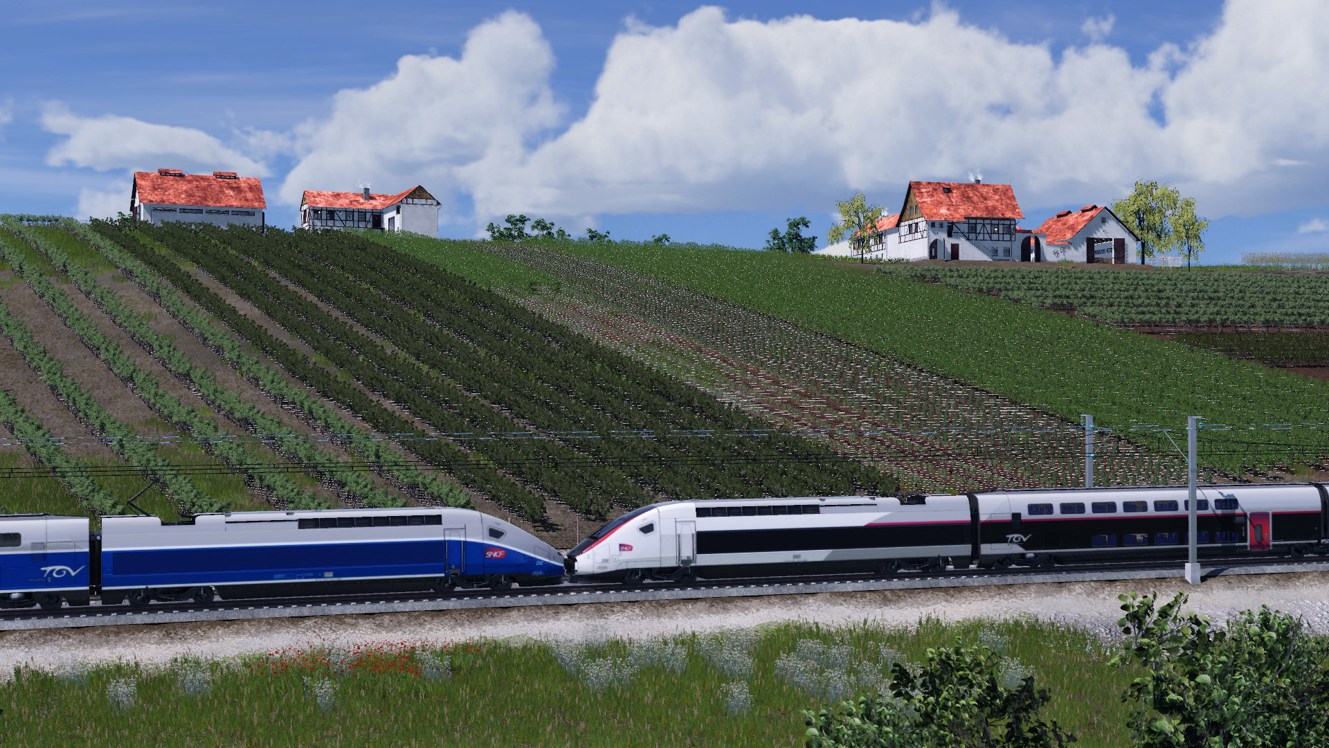 Die Weinberge in Frankreich