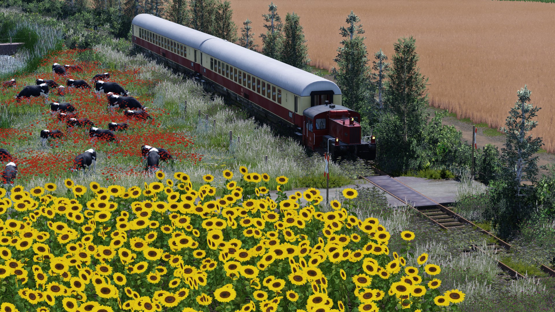 Museumsbahn Test Fahrt.