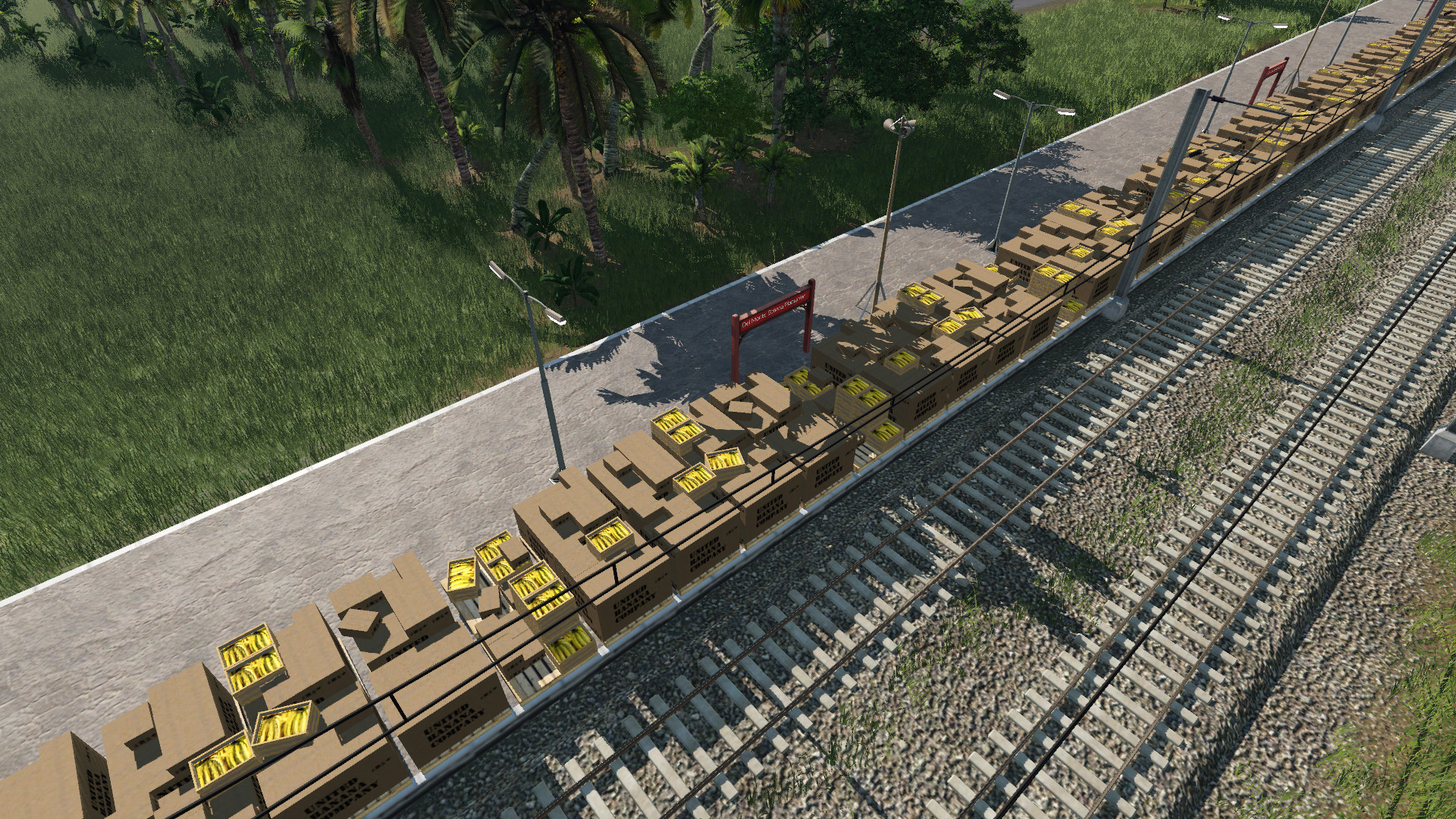 Banana Plantation