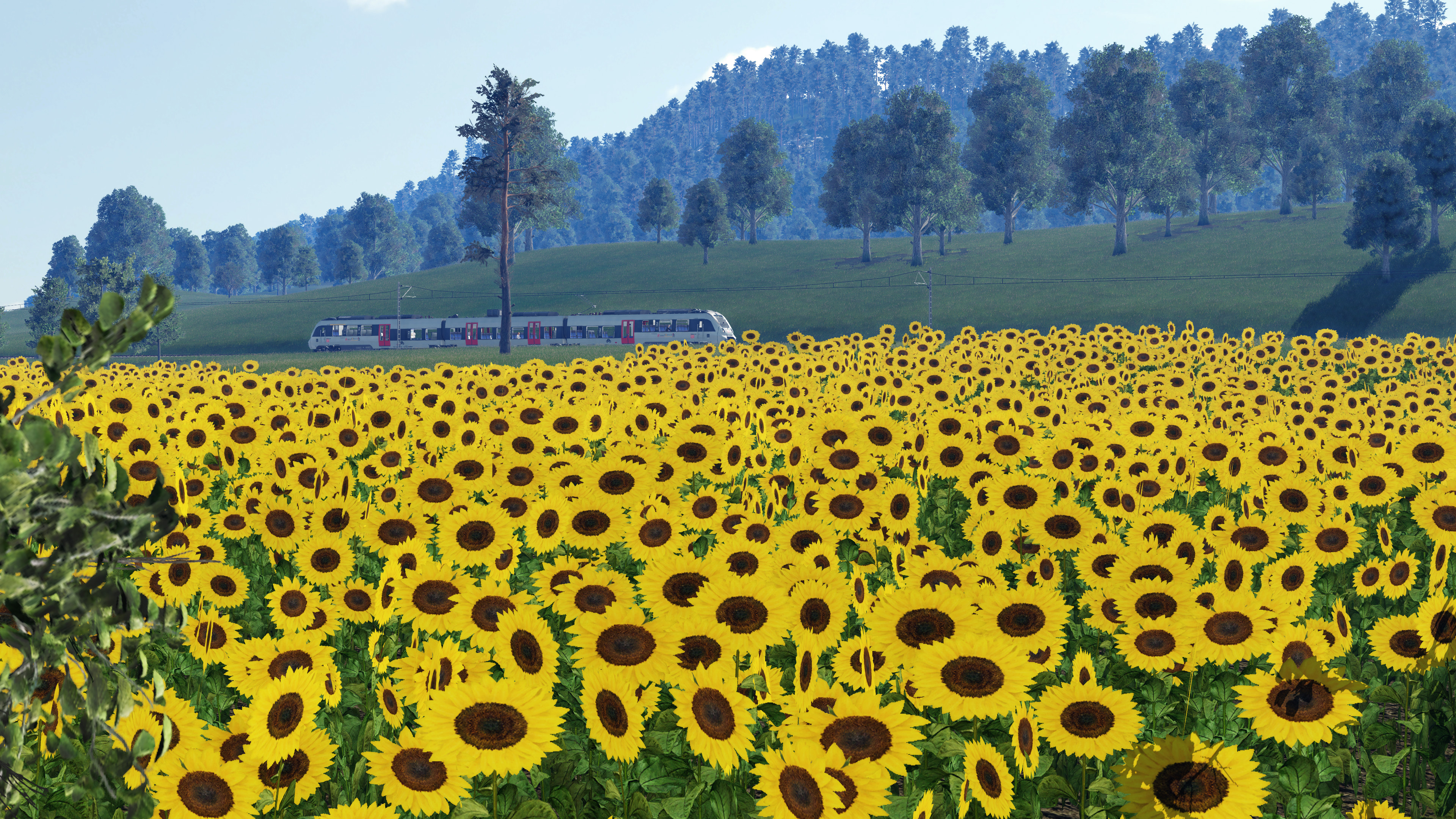 Talent in bloom